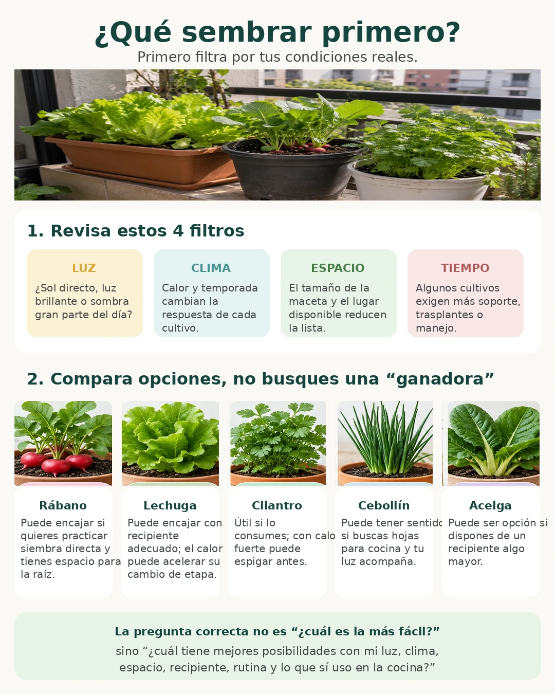 Infografía para elegir los primeros cultivos de una huerta según luz, clima, espacio y tiempo